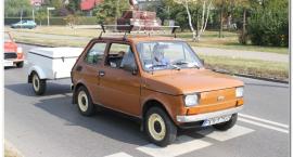 zdjęcie nr 65
