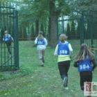 Fotka nr 4 z 10