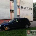 zdjęcie nr 20