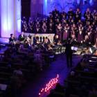 Fotka nr 4 z 16