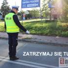 zdjęcie nr 10