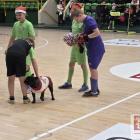 Fotka nr 3 z 12