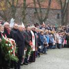 zdjęcie nr 15