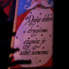 zdjęcie nr 8