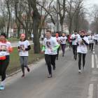 zdjęcie nr 34