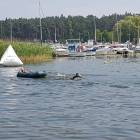 Fotka nr 2 z 17