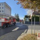 zdjęcie nr 42
