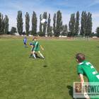Fotka nr 3 z 14