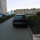 zdjęcie nr 8