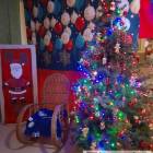 zdjęcie nr 11