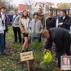 zdjęcie nr 39