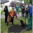 zdjęcie nr 7