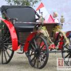 zdjęcie nr 41