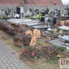 zdjęcie nr 19