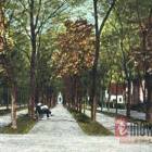 zdjęcie nr 7