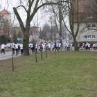 zdjęcie nr 27