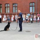 zdjęcie nr 45