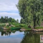 zdjęcie nr 44