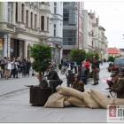 zdjęcie nr 168