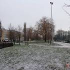 zdjęcie nr 3