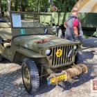 Fotka nr 2 z 28