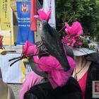 zdjęcie nr 20