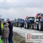 zdjęcie nr 11