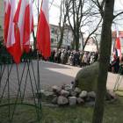 zdjęcie nr 14