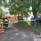 Fotka nr 2 z 6