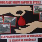 zdjęcie nr 20