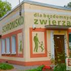 zdjęcie nr 7