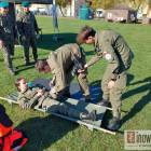Fotka nr 1 z 11