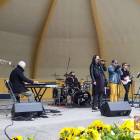 zdjęcie nr 7