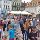 zdjęcie nr 20