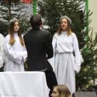 zdjęcie nr 142