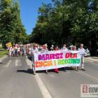 zdjęcie nr 40