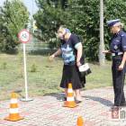 zdjęcie nr 15