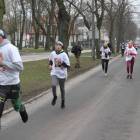 zdjęcie nr 31