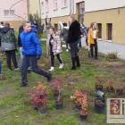 zdjęcie nr 46