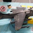Fotka nr 2 z 49