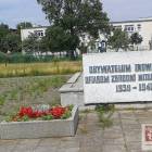 zdjęcie nr 12