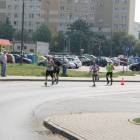 zdjęcie nr 178