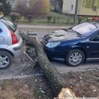 Fotka nr 2 z 4