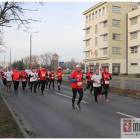 zdjęcie nr 51