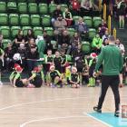 zdjęcie nr 11