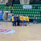 Fotka nr 1 z 11