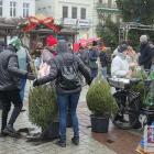 zdjęcie nr 25