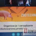 zdjęcie nr 14