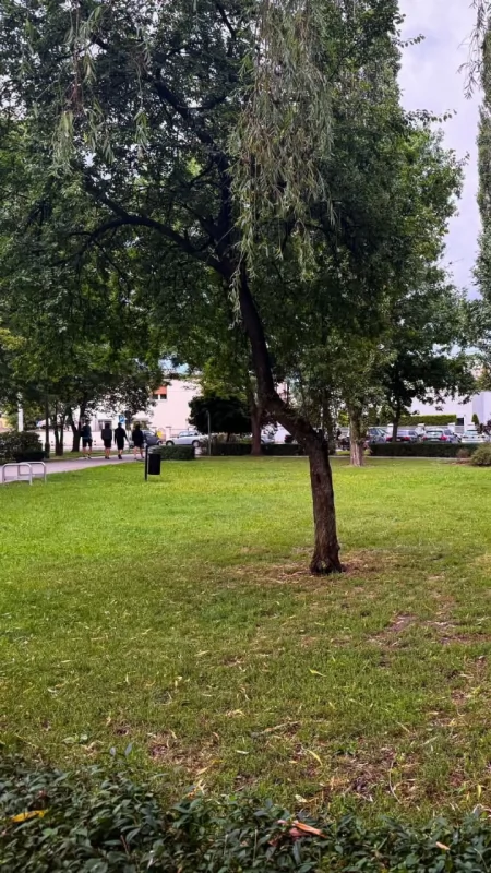Na osiedlu Piastowskim powstanie kynopark Psiastowskie!