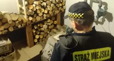 Inowrocław walczy z zanieczyszczeniem powietrza: Straż Miejska w akcji
